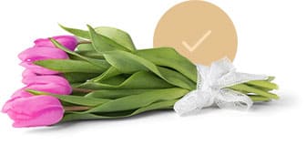 Спасибо, заявка отправлена